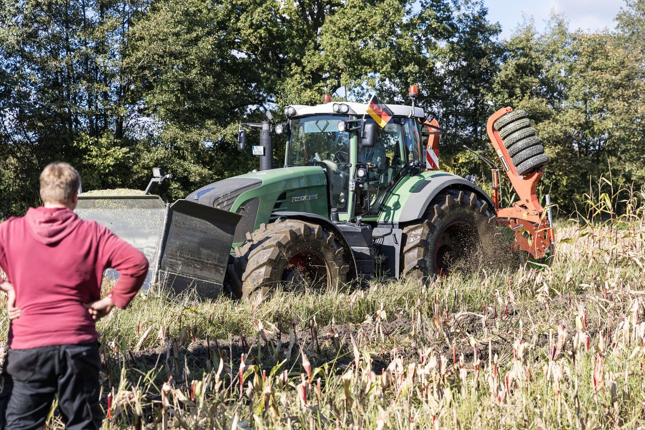 Bild 19 - Maisernte